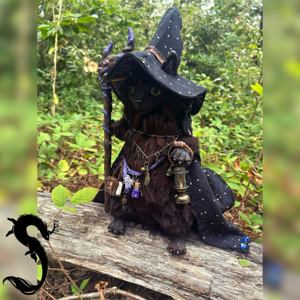 Noireaude la petite sorcière