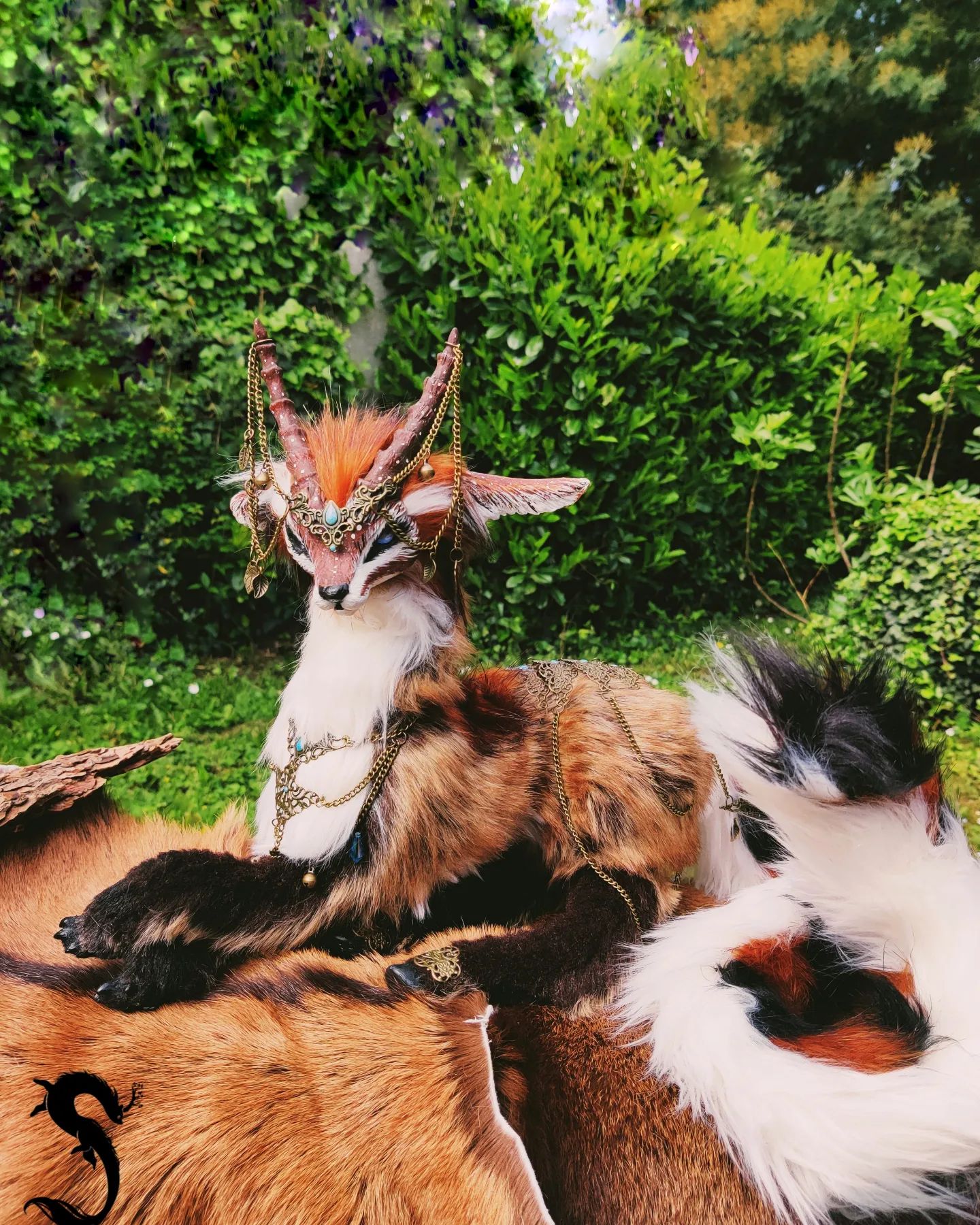 Reine de la foret des Rêves