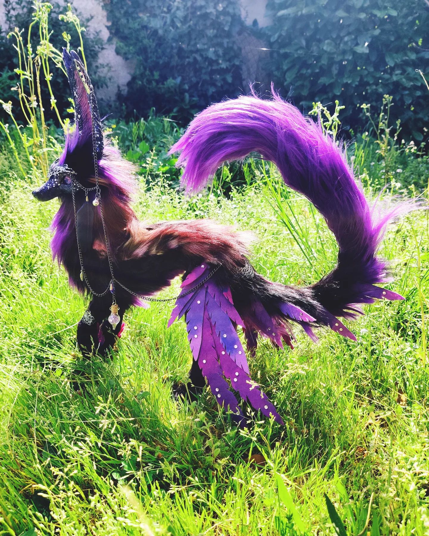 Comète, marcheuse d'étoile