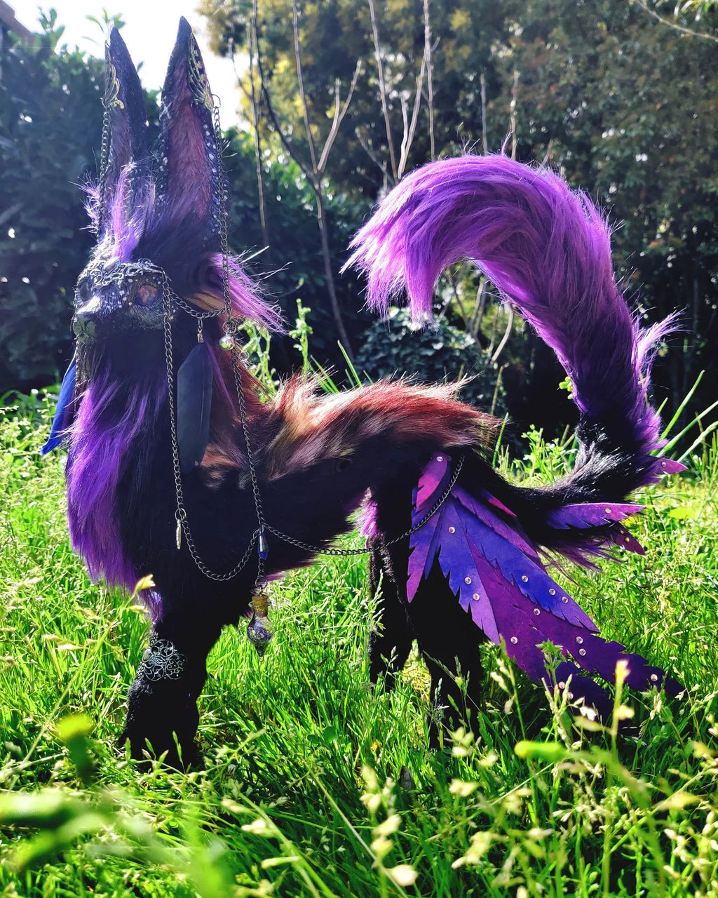 Comète, marcheuse d'étoile