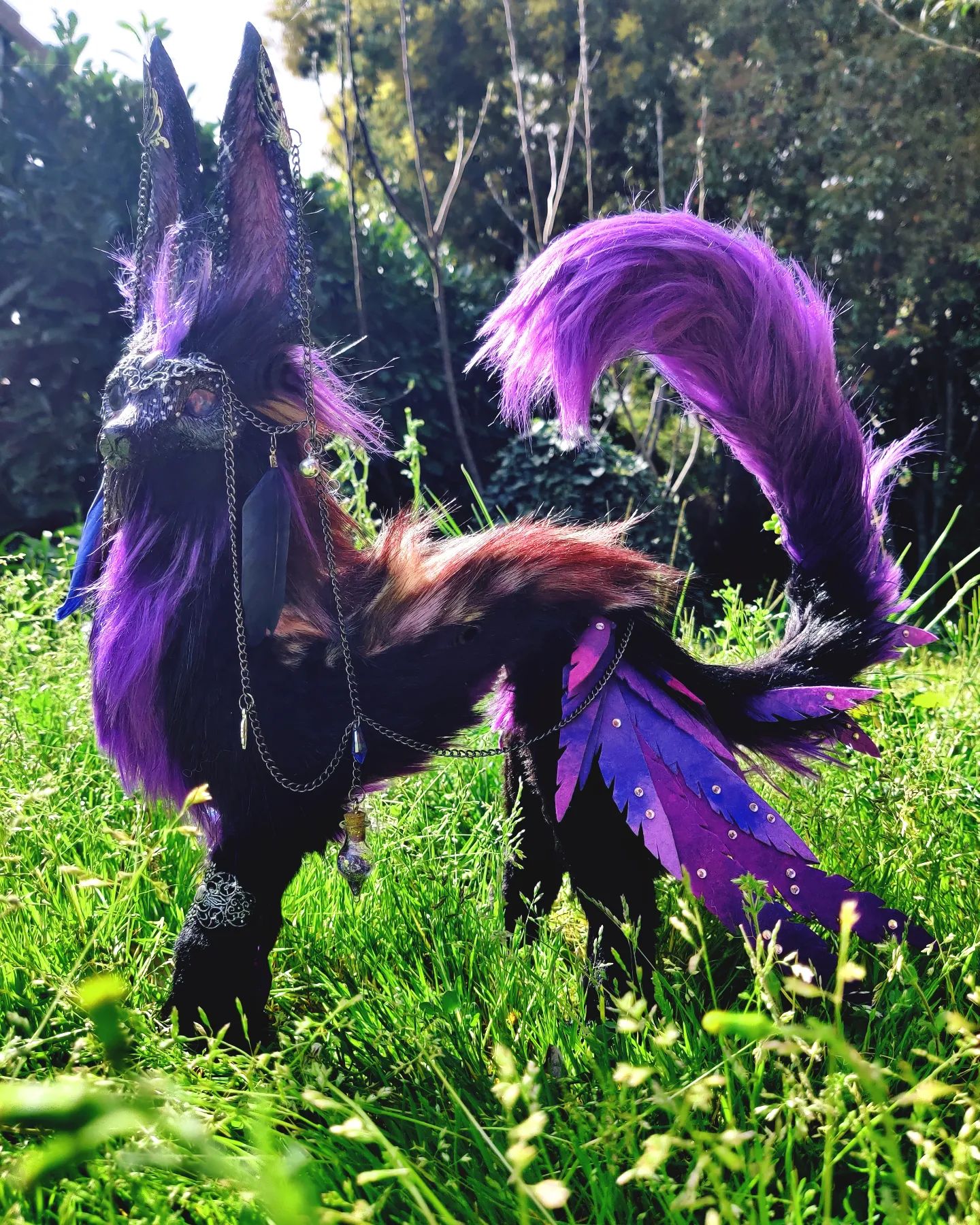 Comète, marcheuse d'étoile