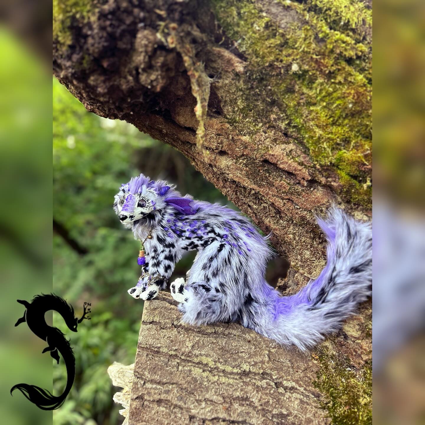 Nyrris - Furet Dragon Violet