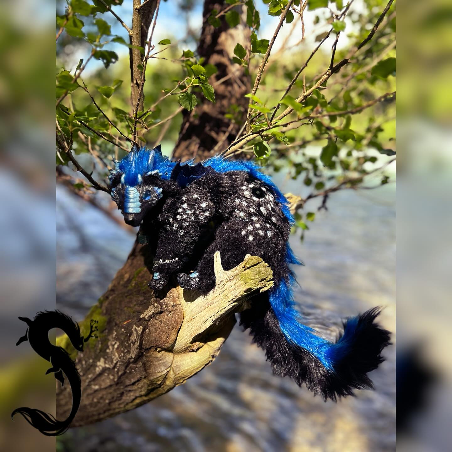Azelune Furet Dragon Noir et Bleu
