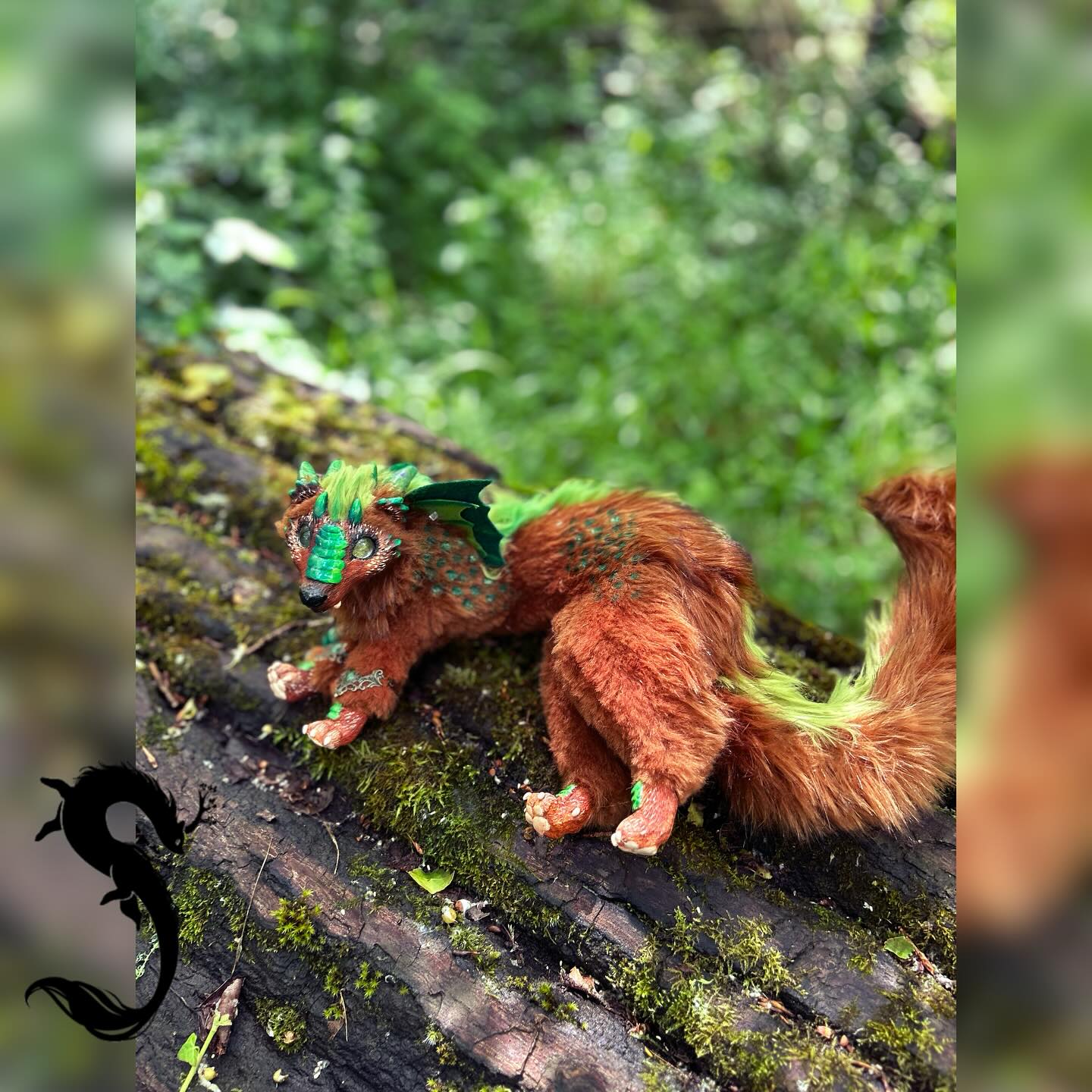 Malwen Furet Dragon Vert