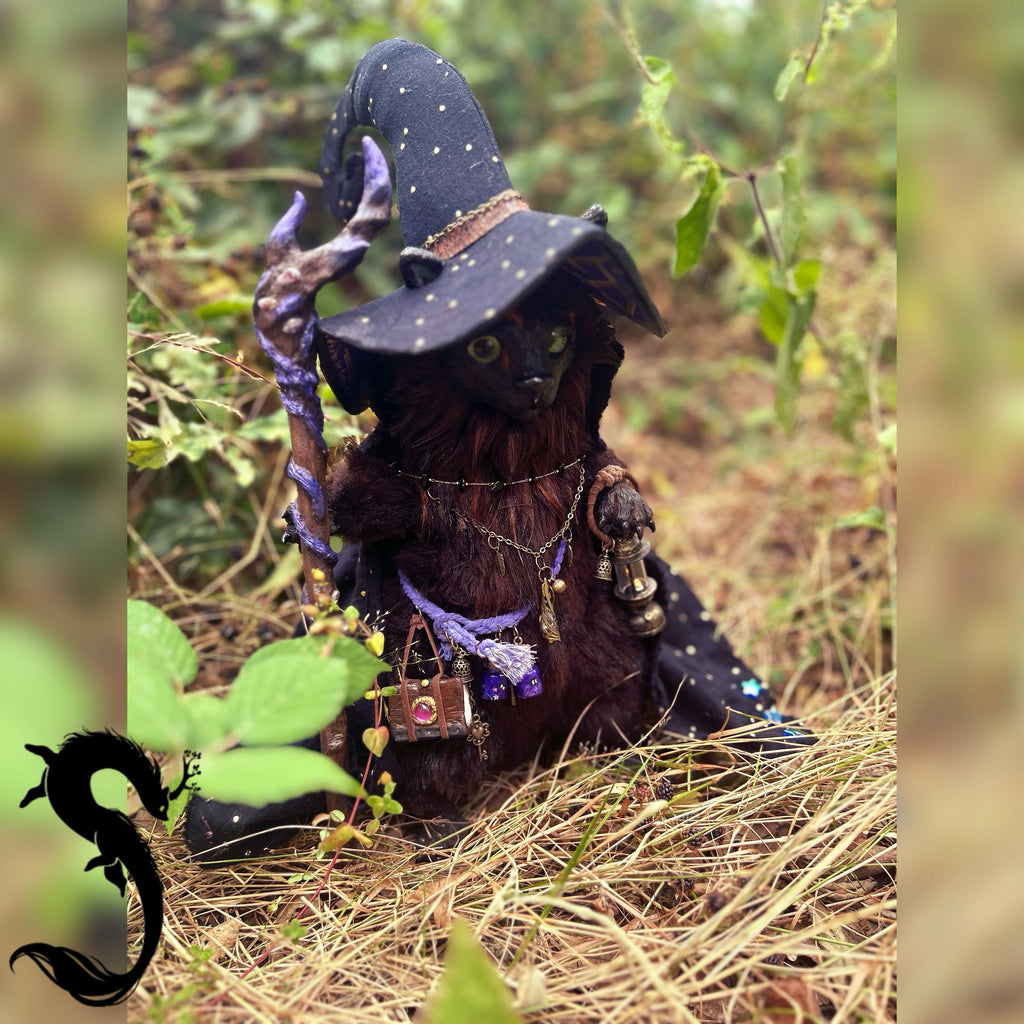 Noireaude la petite sorcière