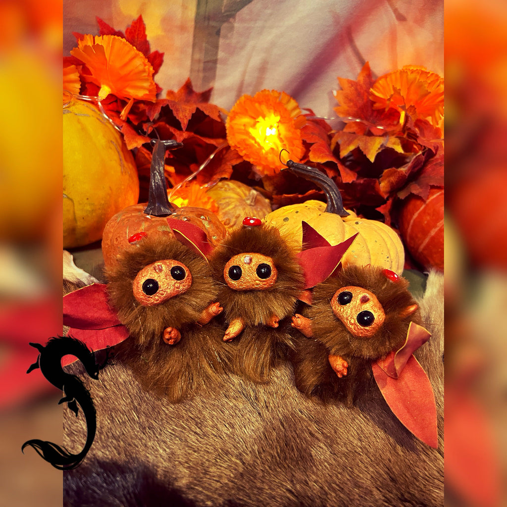 Pouic Fée des Champignons