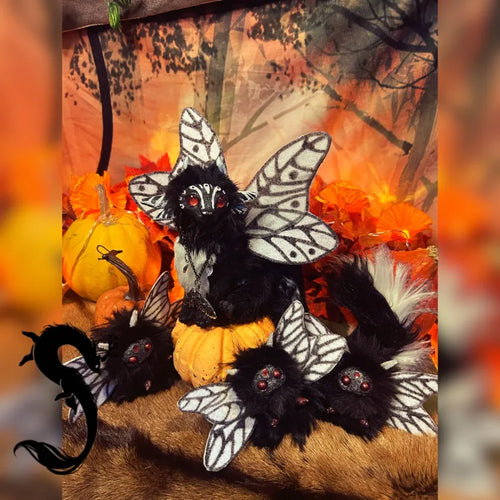 Chat-Magique "Papillon de nuit"