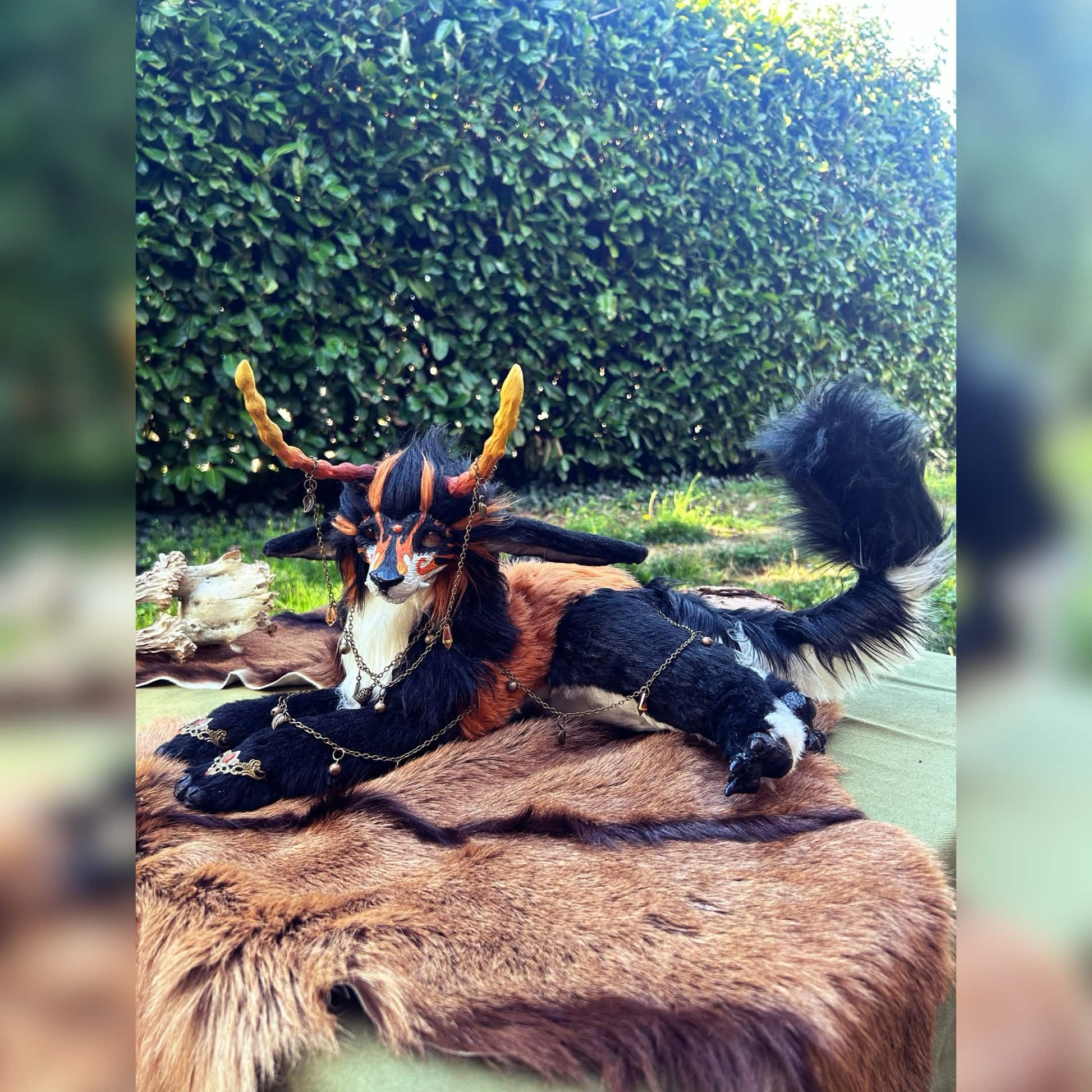 Ashkara, étincelle de l'hiver