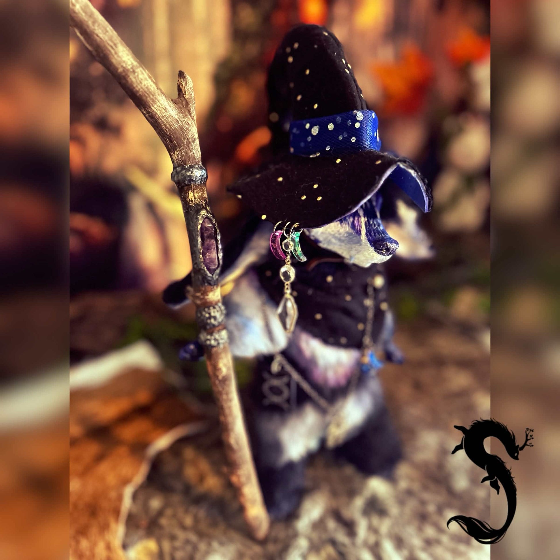 Sélura - Petite sorcière des astres et de la divination