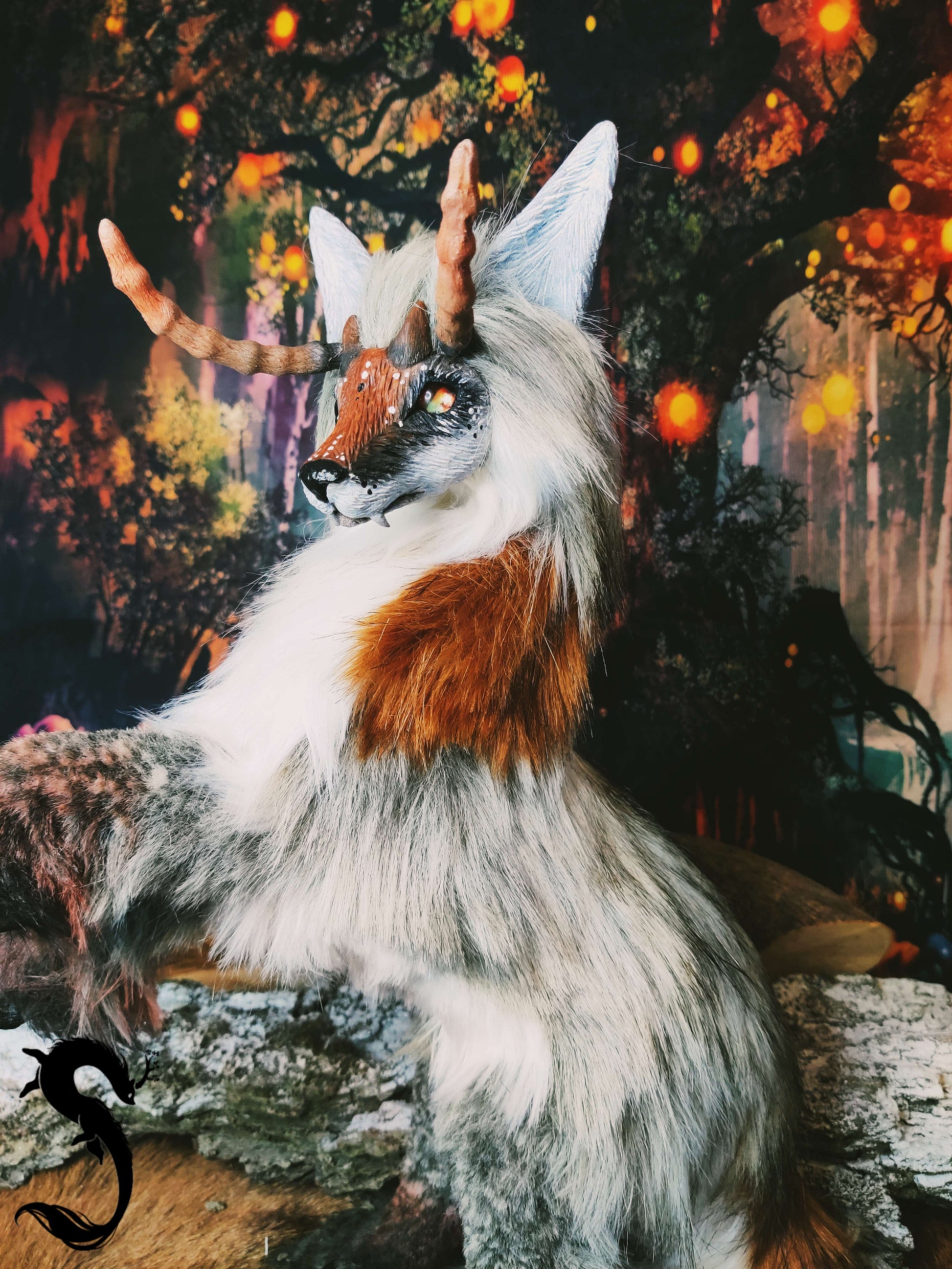 Dahut des Pyréenées