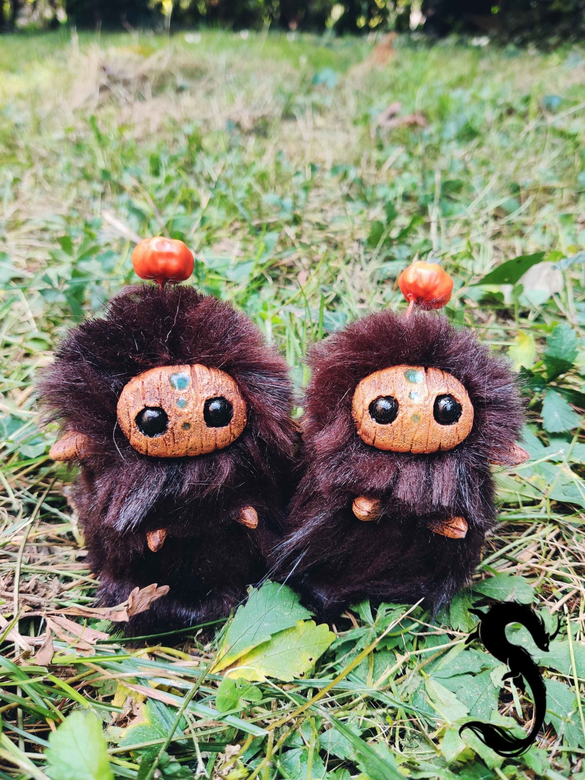 Pweet des champs de Citrouille